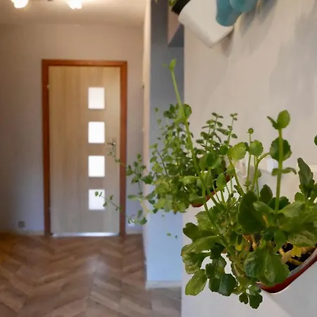 Apartamenty Pod Huta Wegierska Gorka Exterior photo