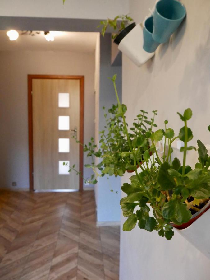 Apartment Pod Huta Wegierska Gorka
